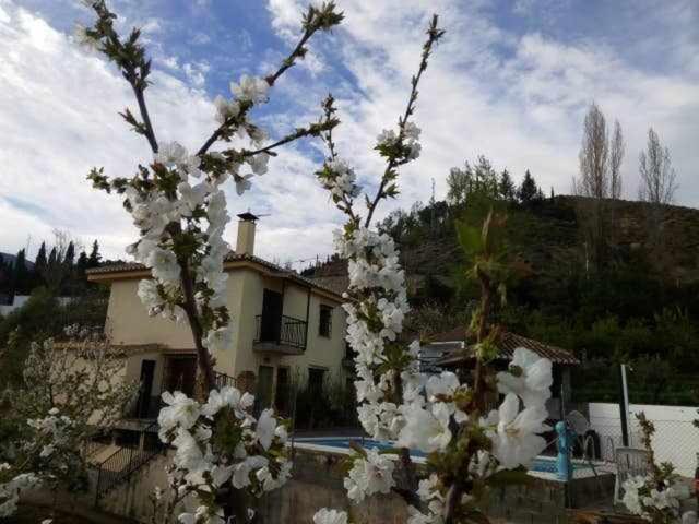 מונאצ'יל Casa Rural Las Huertas De Roque חדר תמונה