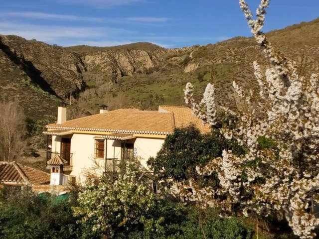 מונאצ'יל Casa Rural Las Huertas De Roque חדר תמונה