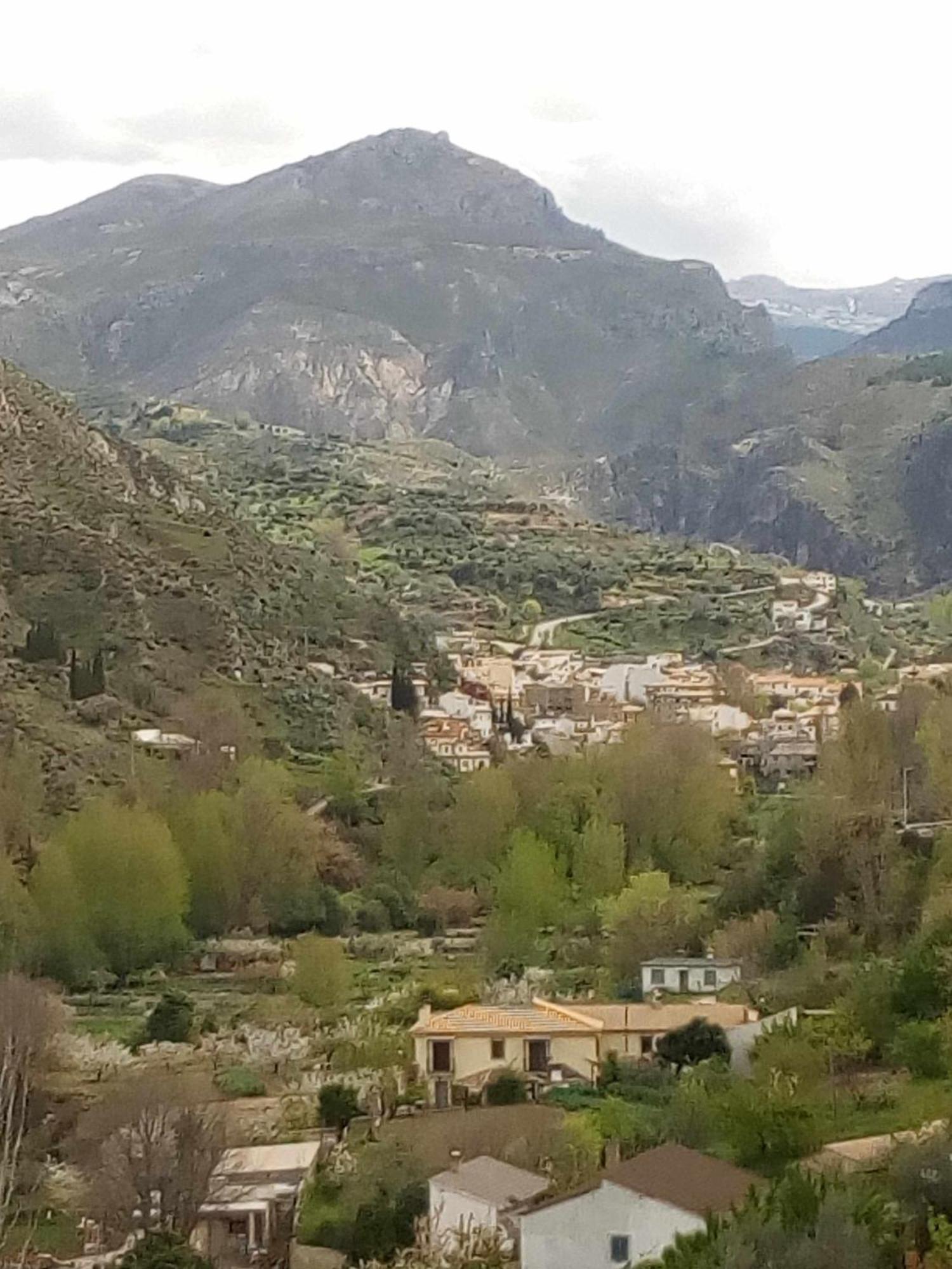 מונאצ'יל Casa Rural Las Huertas De Roque חדר תמונה