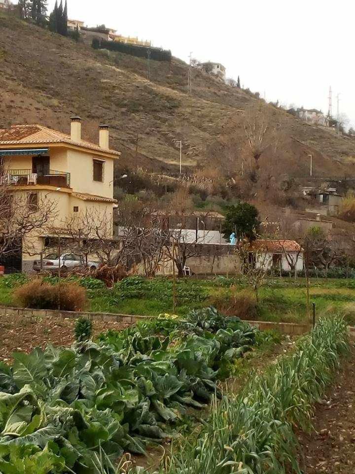 מונאצ'יל Casa Rural Las Huertas De Roque חדר תמונה
